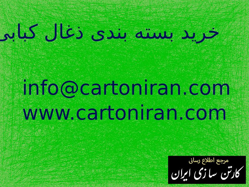 خرید بسته بندی ذغال کبابی